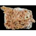 Pink and Orange bladed Barite