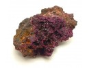 Erythrin